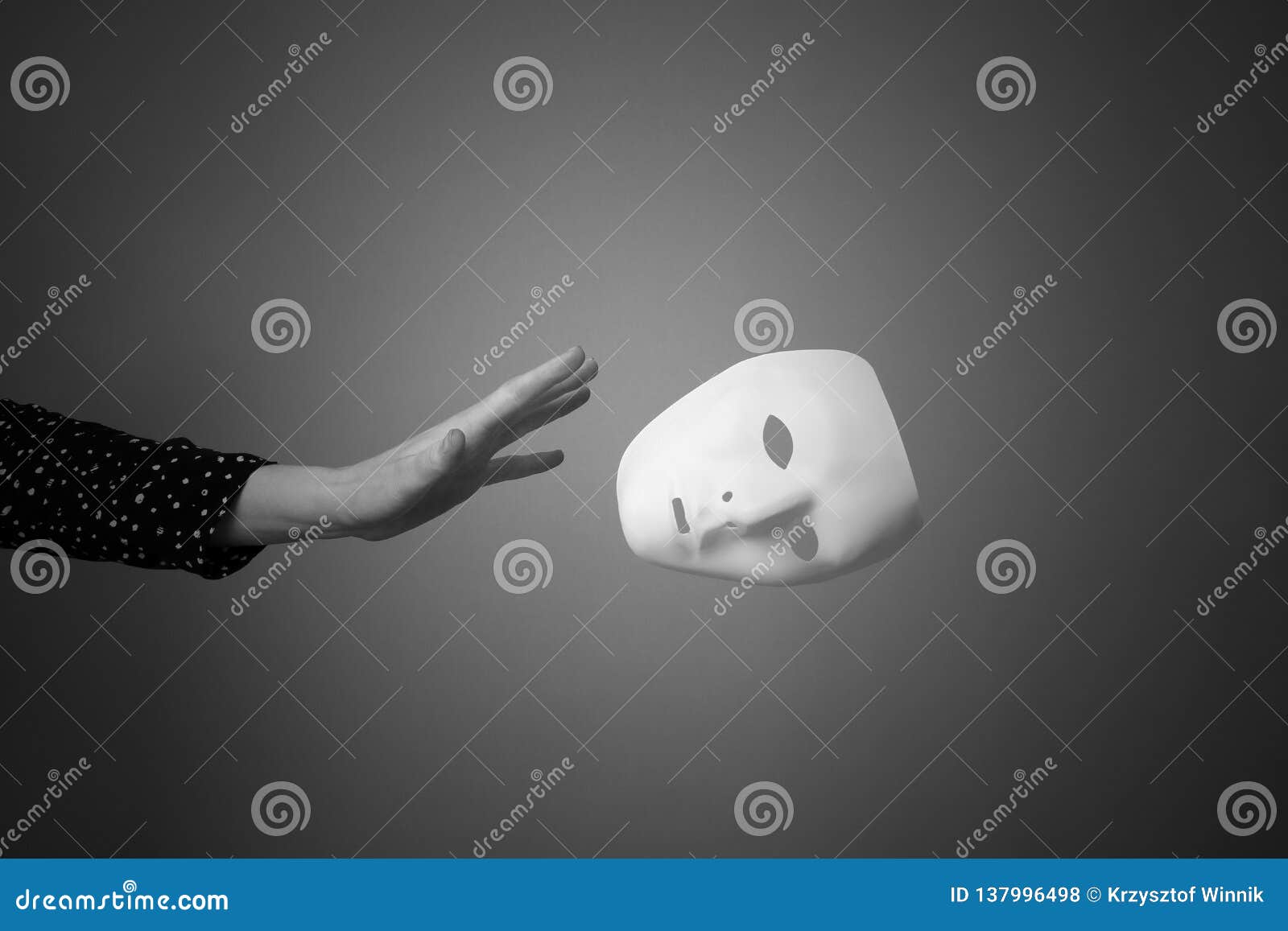 Mask of Duplicity by Julia Brannan Mask of Duplicity by Julia Brannan