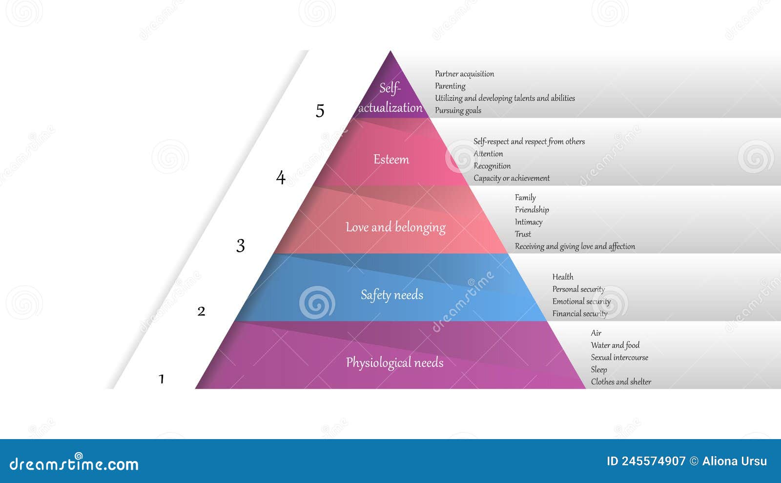 maslow`s hierarchy of needs