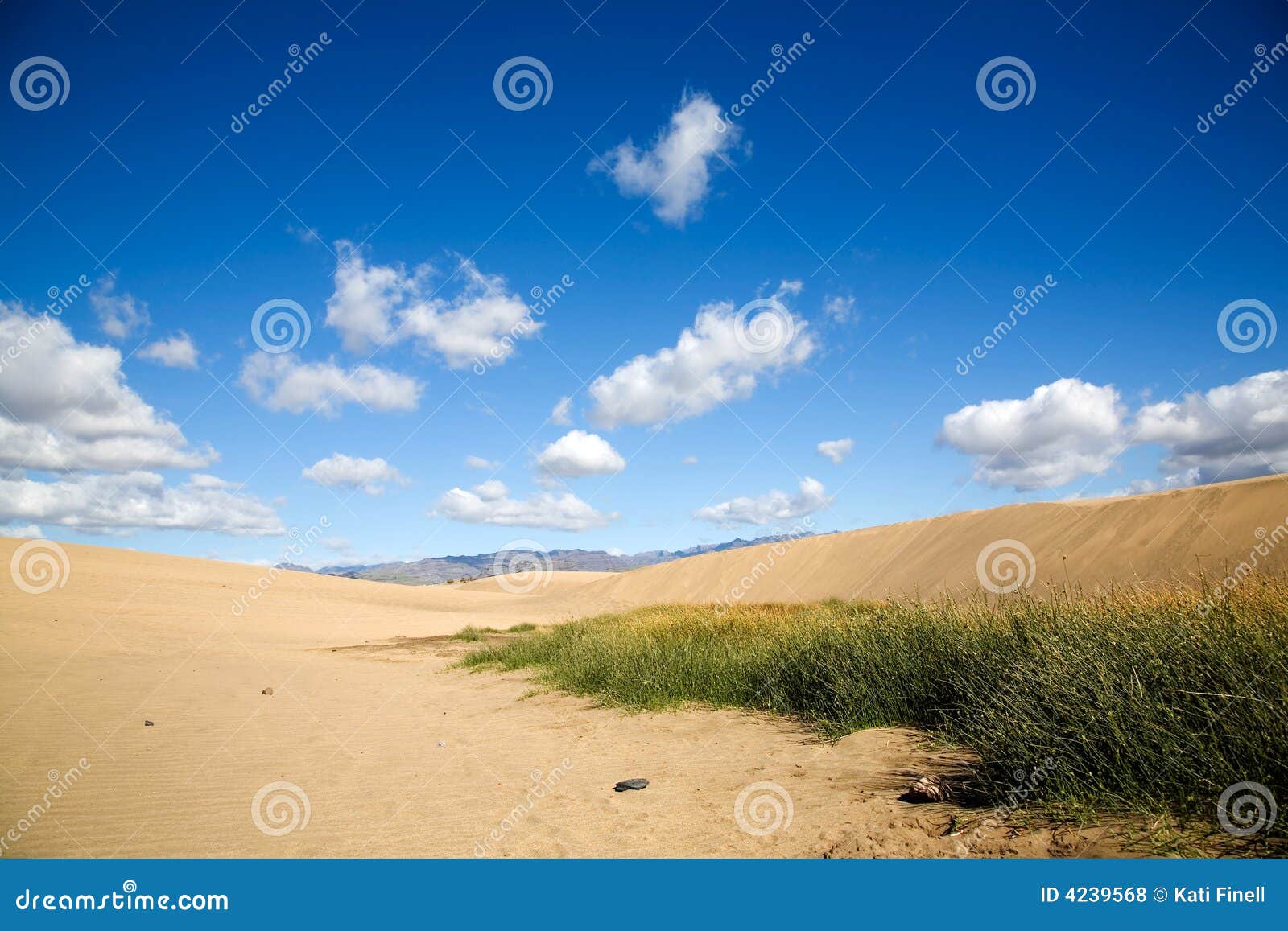maspalomas sand dunes