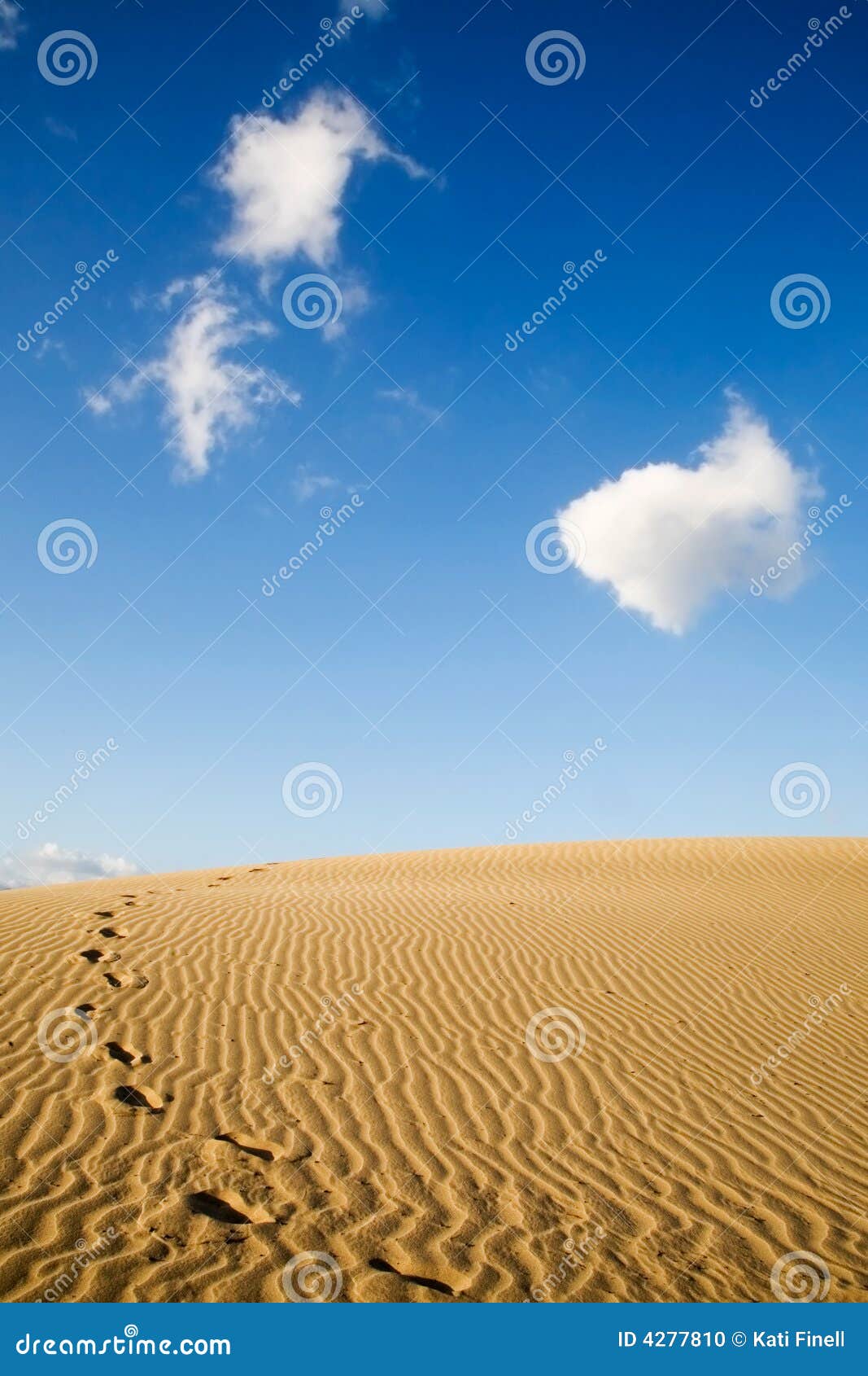 maspalomas sand dunes