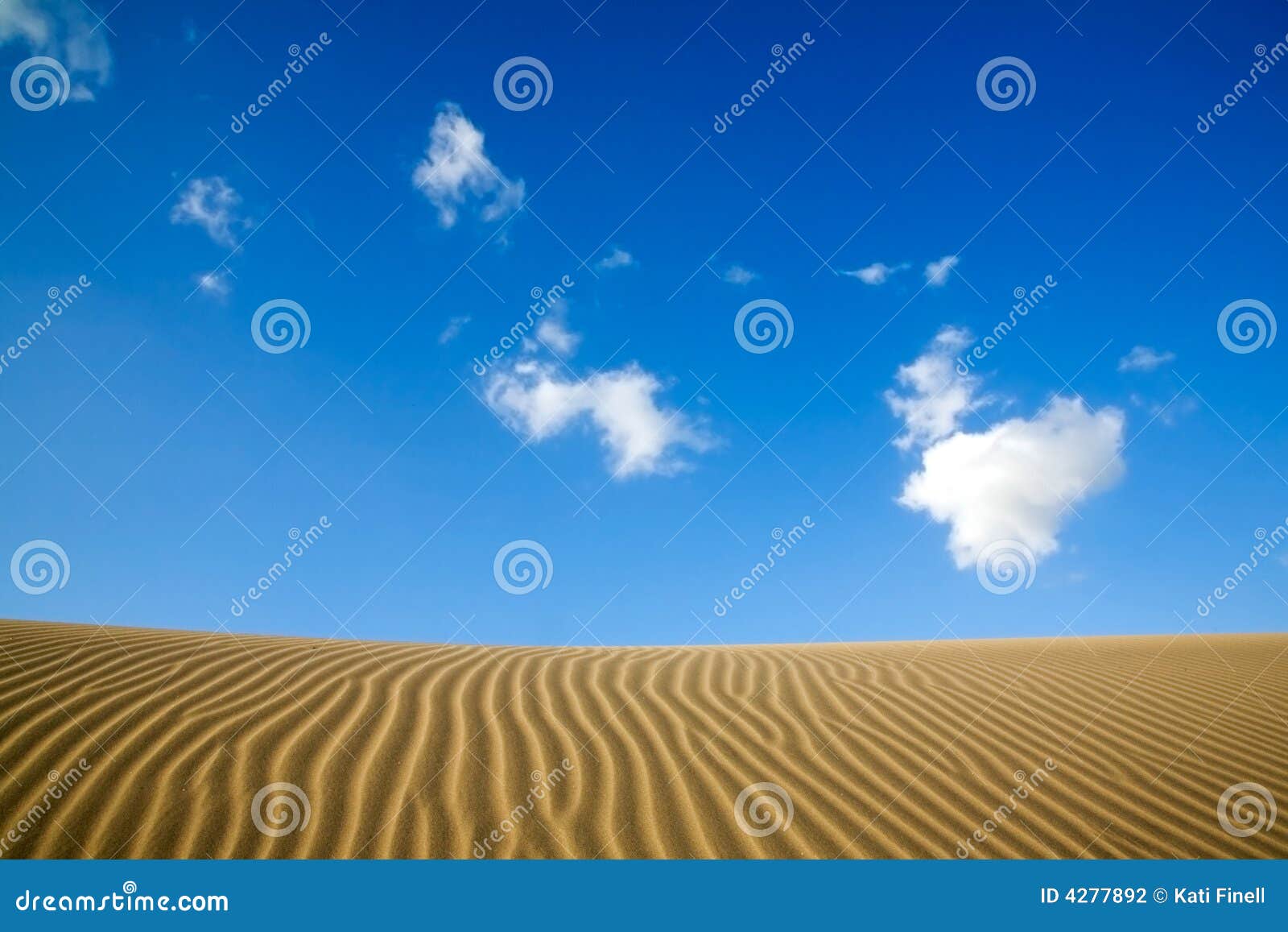 maspalomas sand dunes