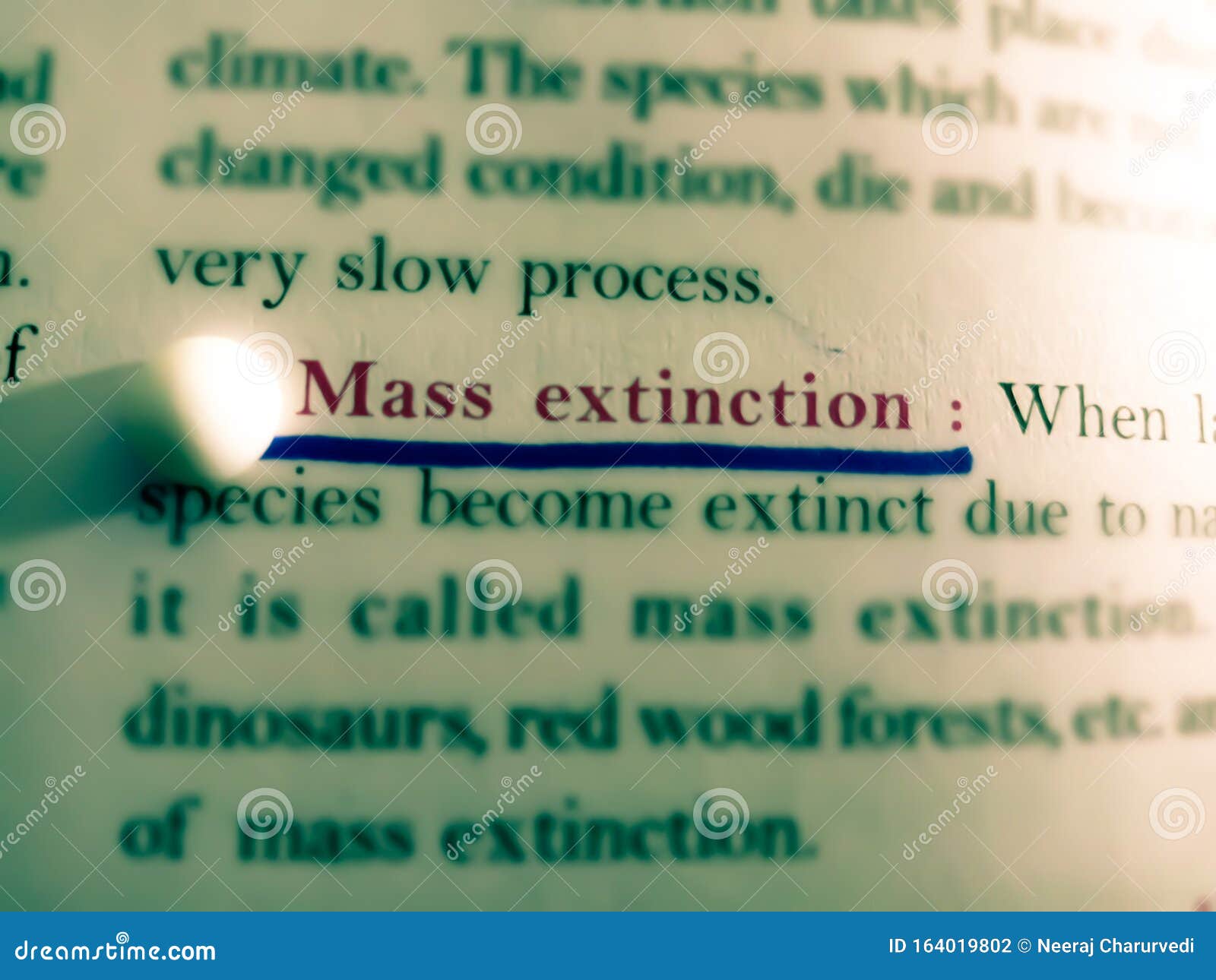 mass extinction word displayed on red colour underline text from on abstract background