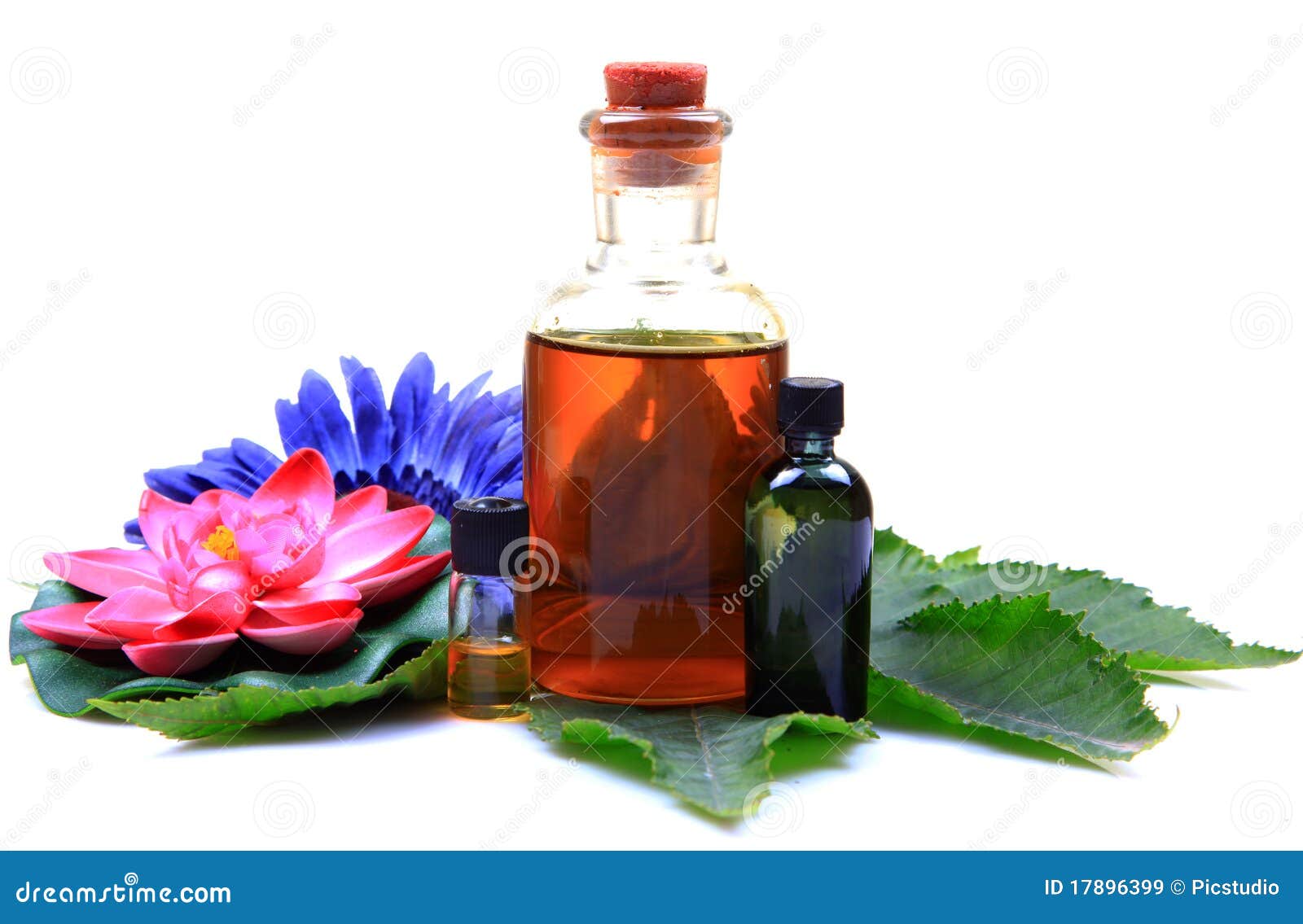 Massage oil bottles stock image. Image of natural, bottles - 17896399