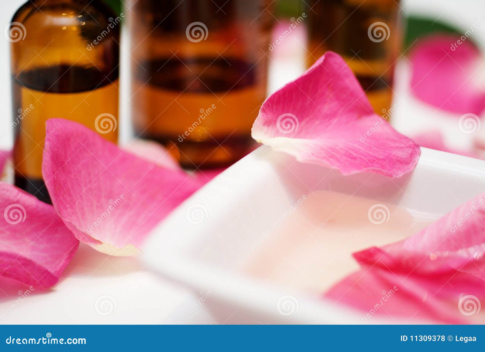 Massage Oil from Rose Petals Stock Photo Image of petal, flower 11309378