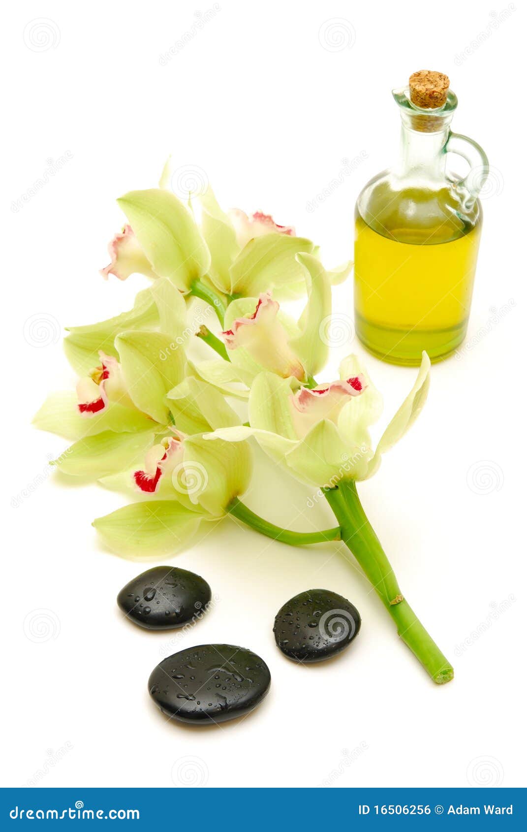 Massage Oil and Stones with Orchids Stock Photo Image of treatment