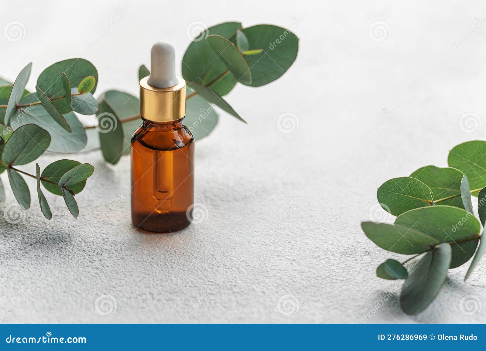 Massage and Spa Oils with Eucalyptus Stock Image Image of massage