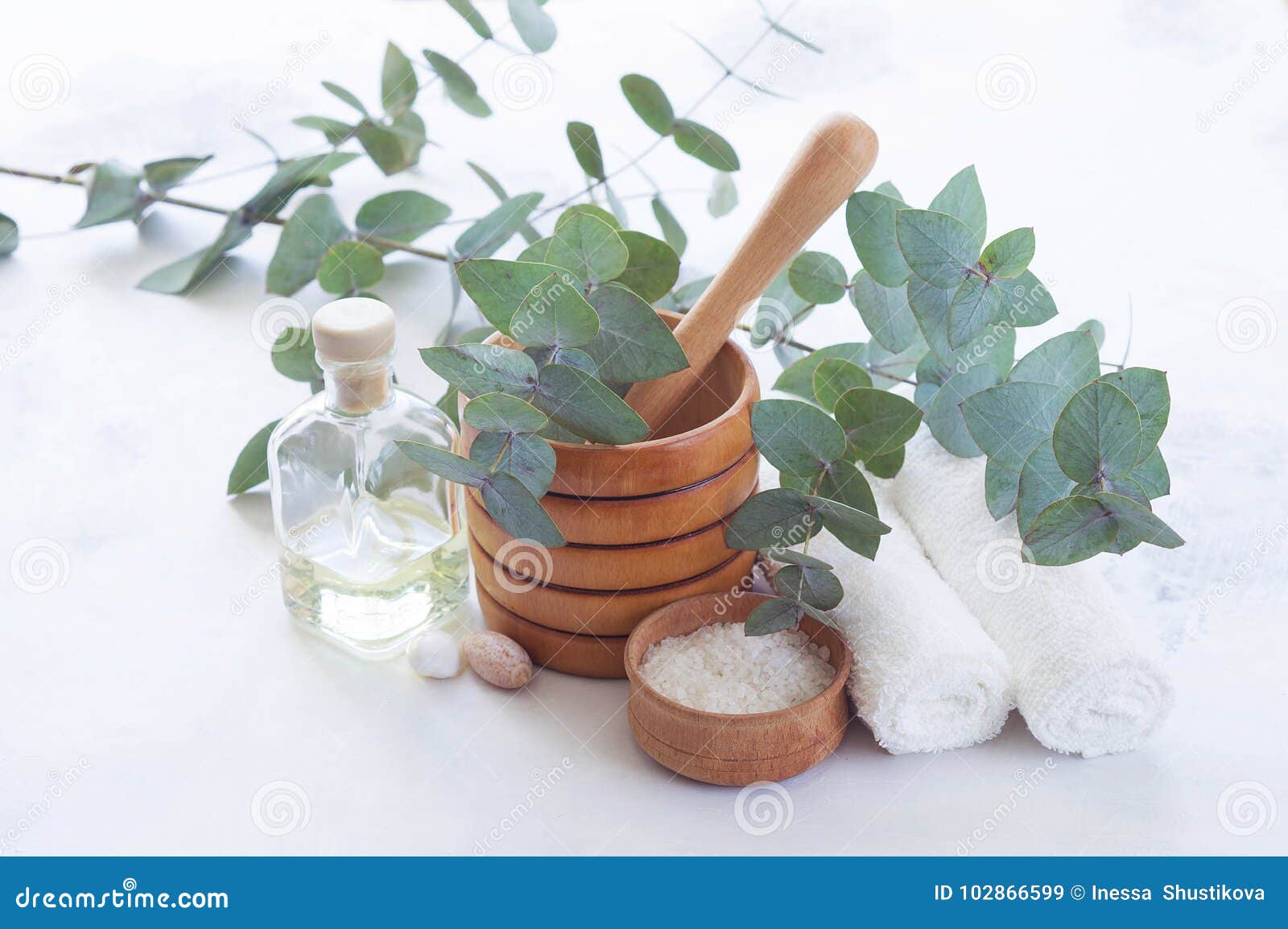 Massage and Spa Products with Branches of Eucalyptus. Stock Image