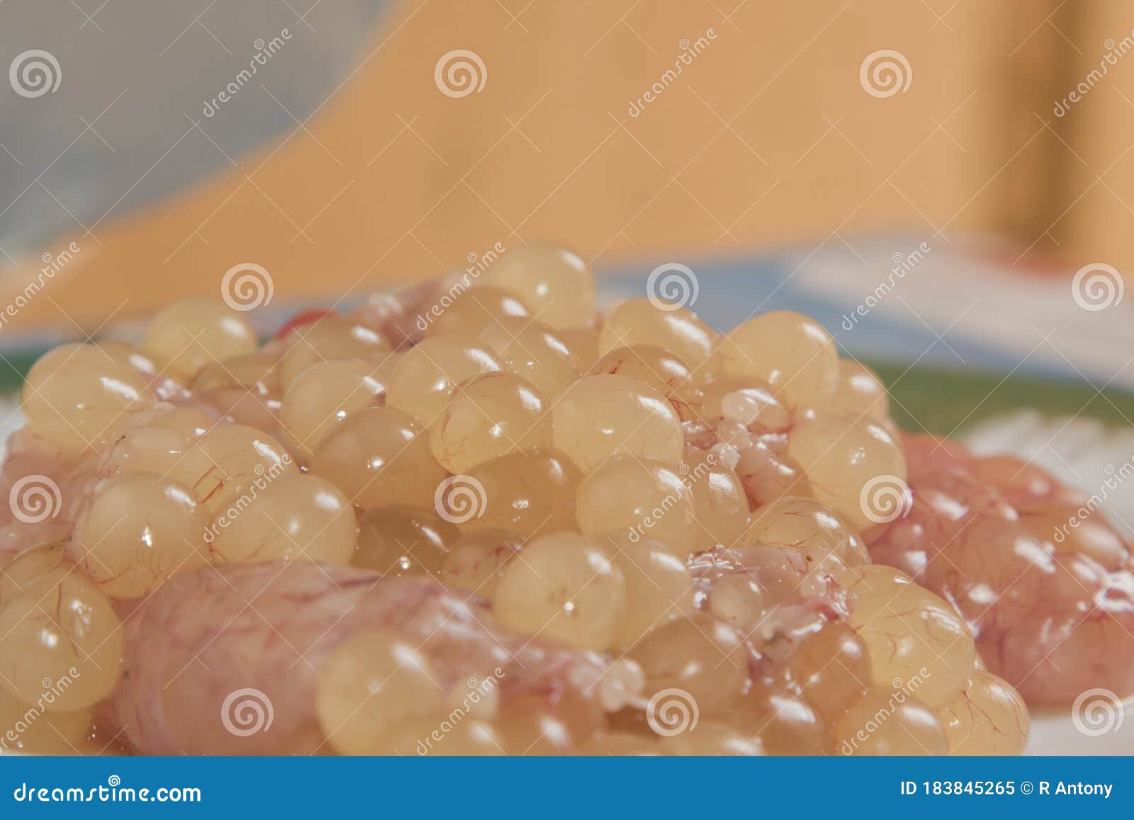 Massive fresh fish eggs stock image. Image of fish, shark 183845265
