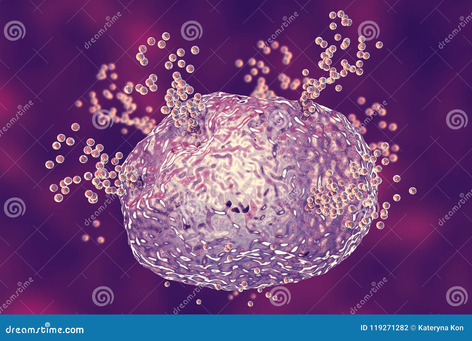 mast cell releasing histamine