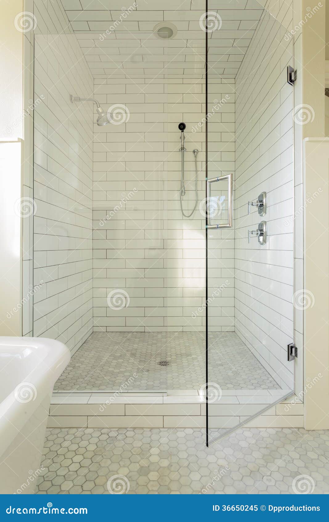 master bathroom shower