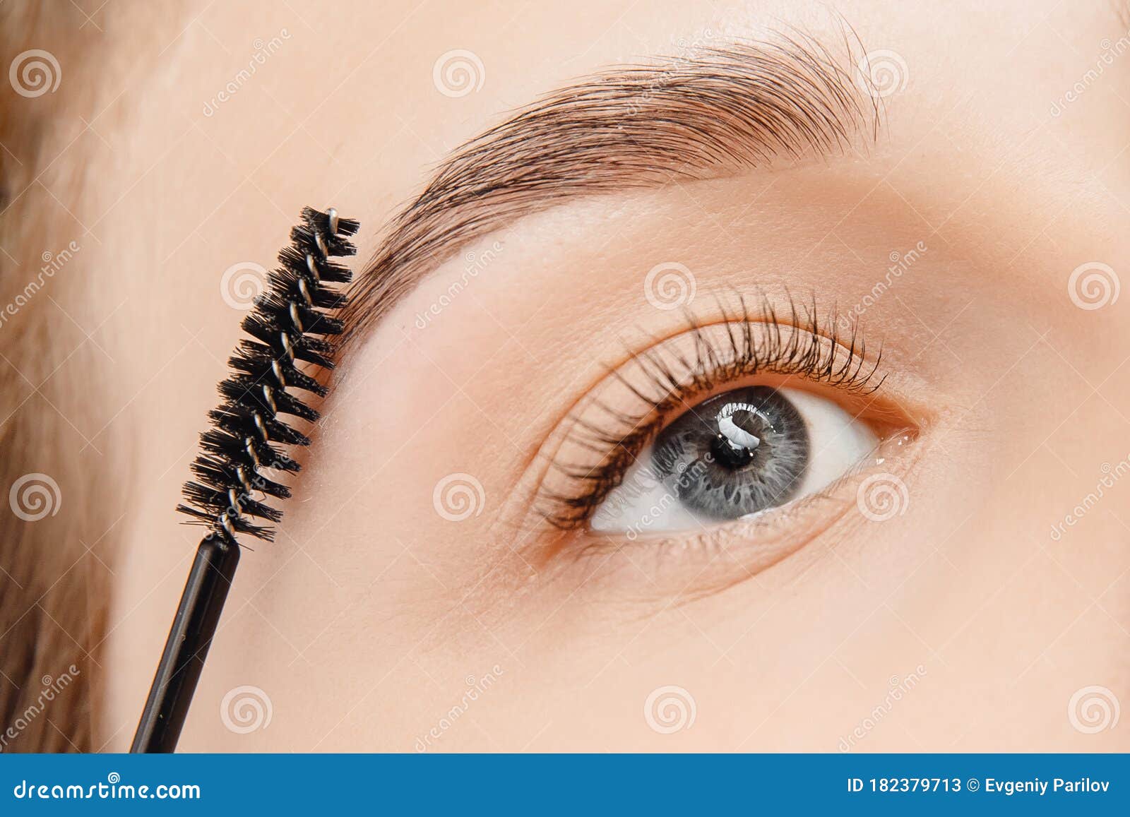 master brushes eyebrows to woman in beauty salon. correction of brow hair