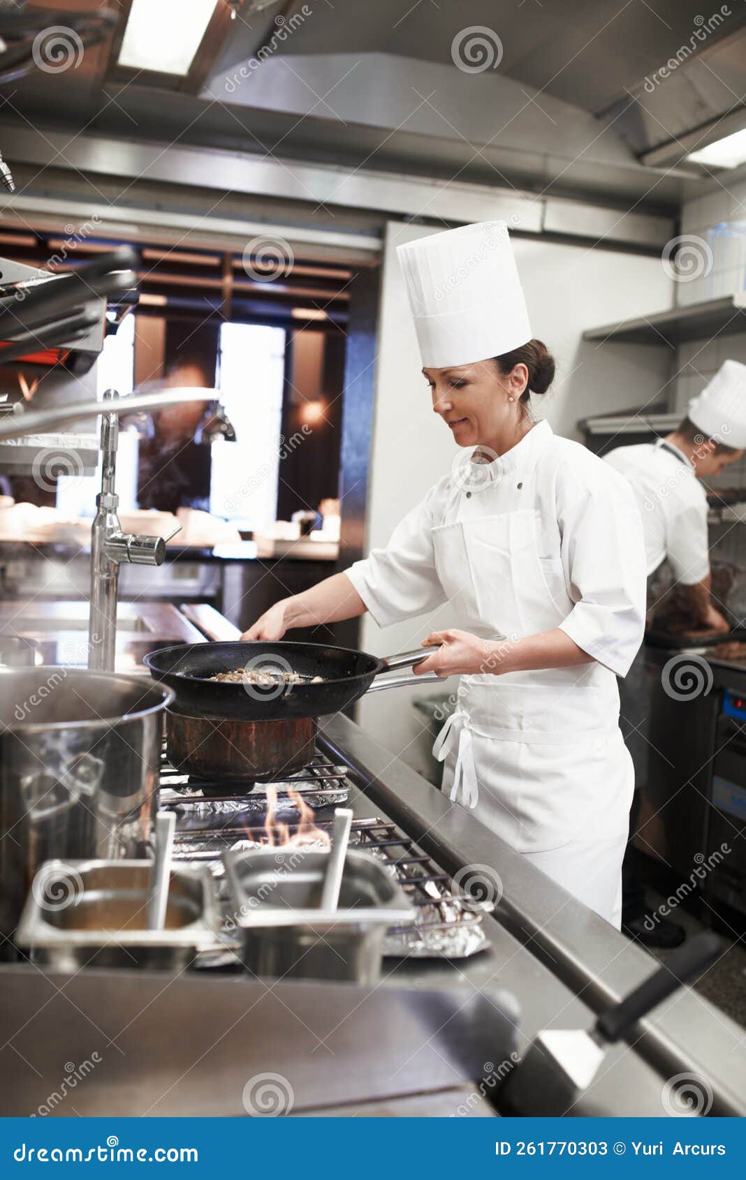 Mastering New Culinary Heights. the Inner Working of a Professional