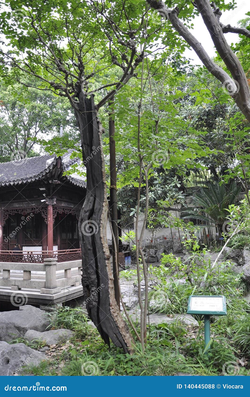 Shanghai 2nd May Picturesque Landscape With Rockery Design In