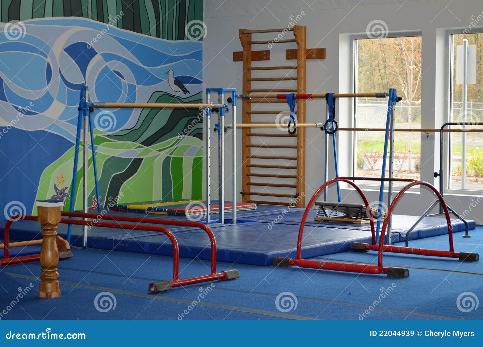 Matériel de gymnastique image stock. Image du passage - 22044939
