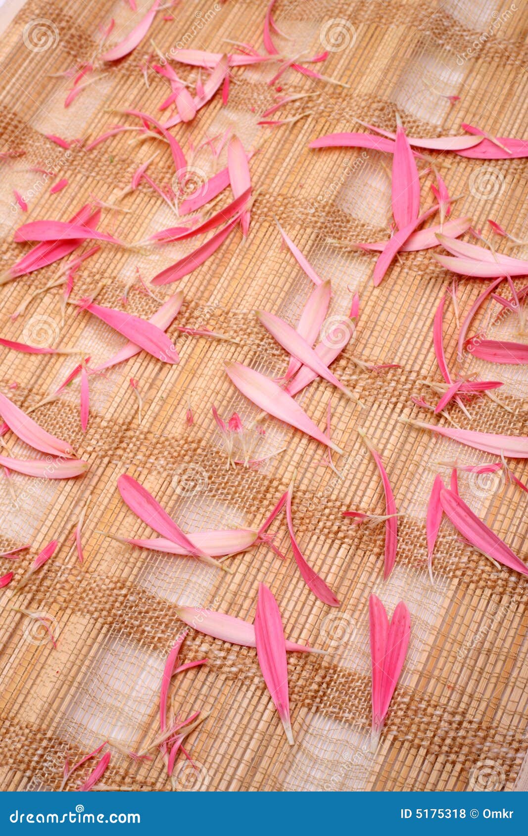 Mat with pink petals stock photo. Image of designs, pink 5175318