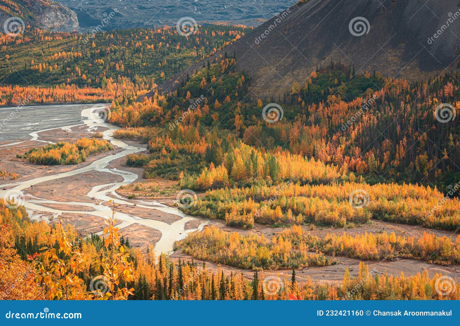 view of matanuska river from highway , alaska in fall season.