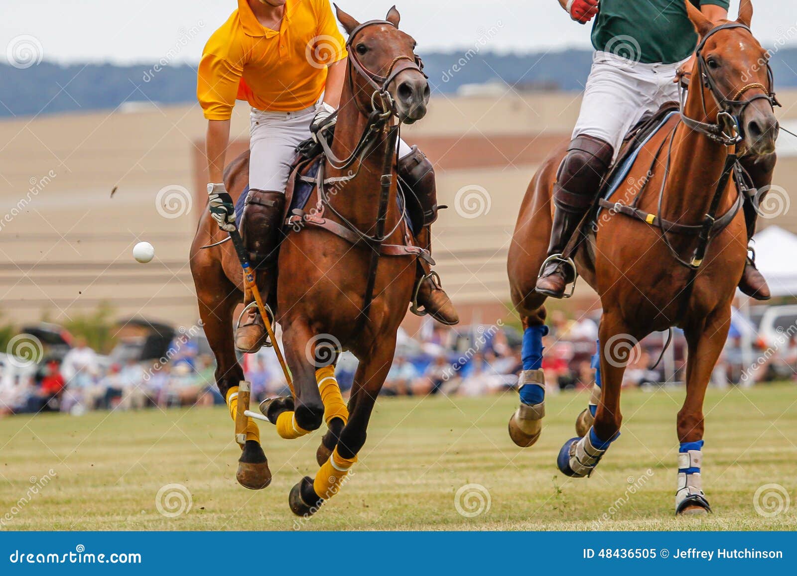 Match De Polo Avec Galoper De Chevaux Image stock Image du chevaux