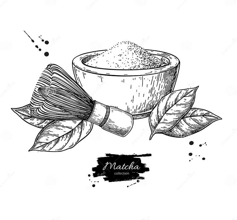 Matcha Tea Vector Drawing. Green Tea Powder Leaves Stock Vector