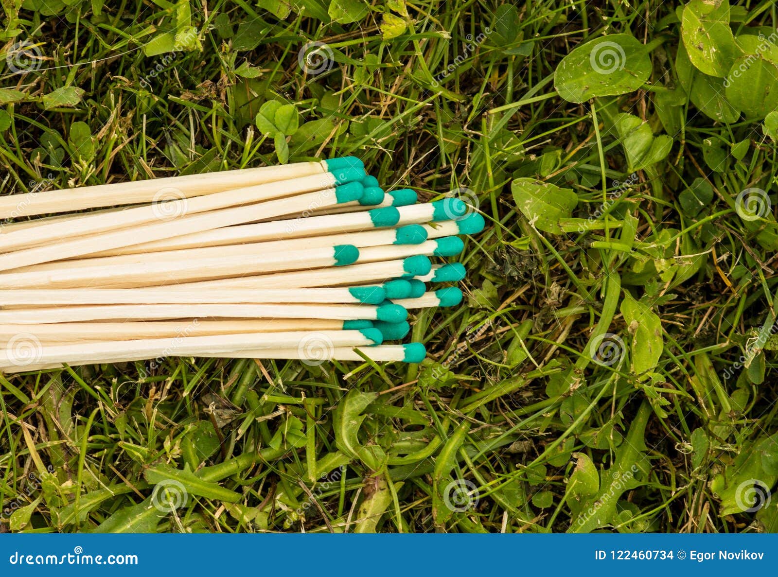 Matches with Green Heads on the Grass, Closeup Stock Photo Image of