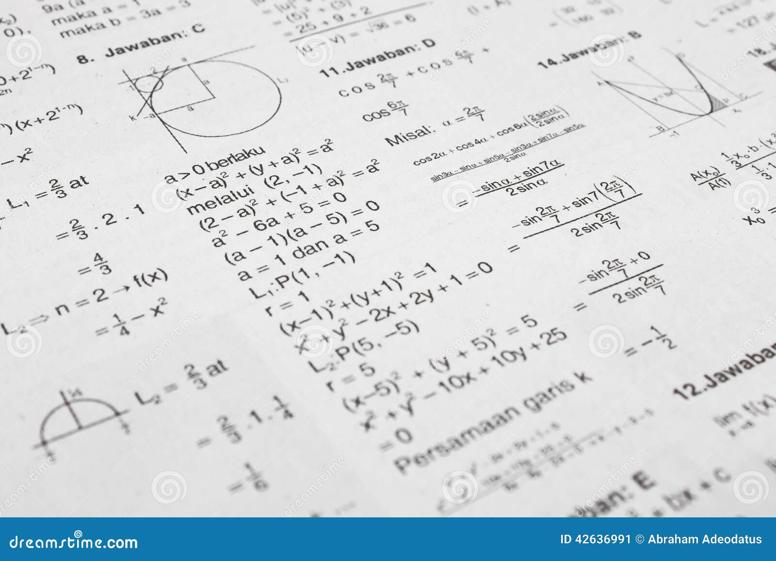 Essay on mathematicians