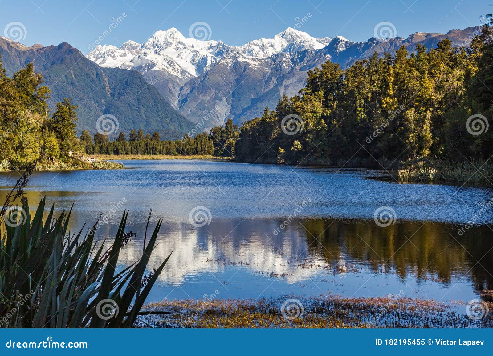 Southern Alps New Zealand