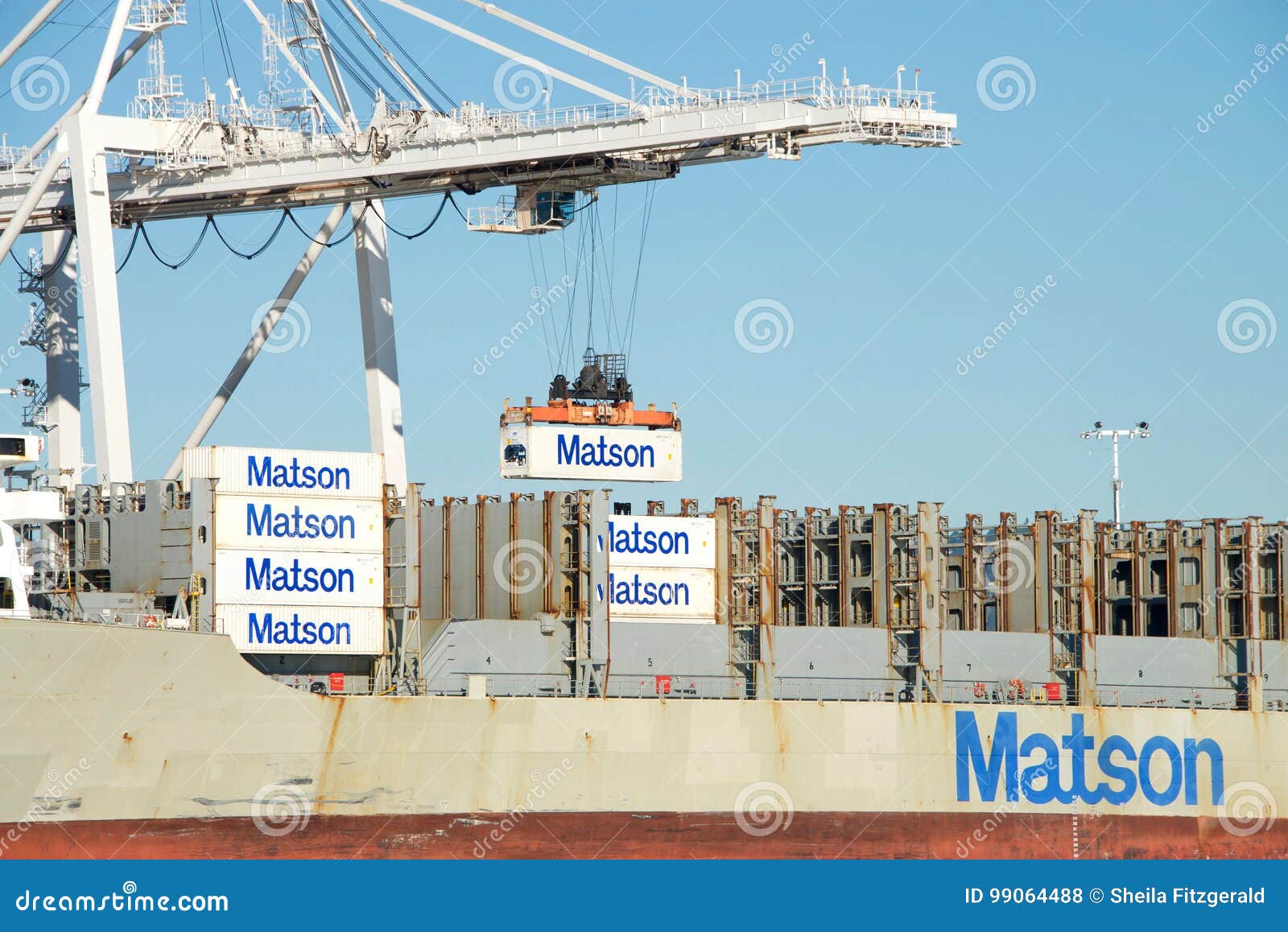 207 Matson Stock Photos - Free & Royalty-Free Stock Photos