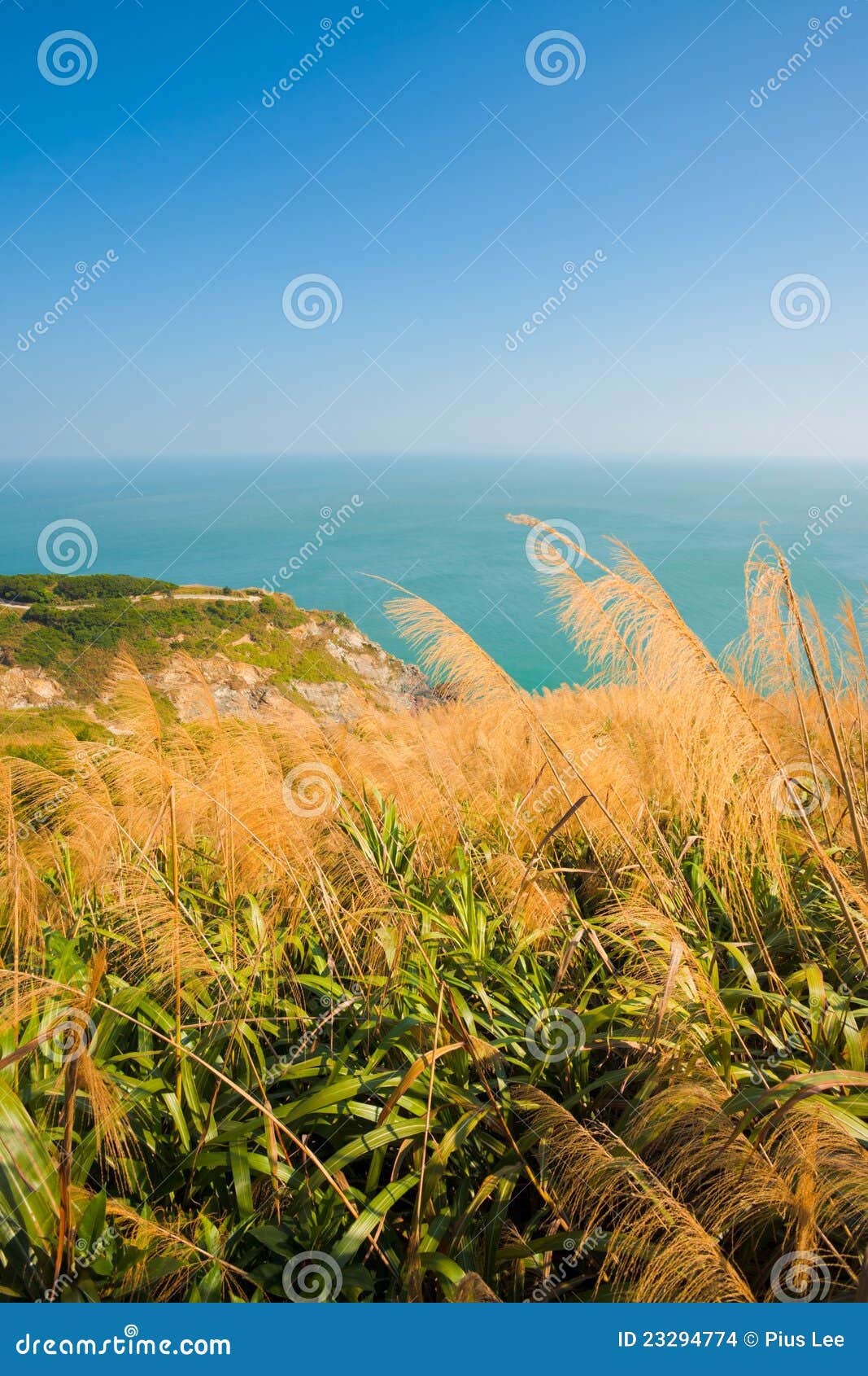 Matsu Juguang Insel-natürliche Schönheit V. Hohes Gras und hohe Klippen auf dem Rand des Meeres bilden die natürliche Schönheit von Juguang Insel im Matsu Archipel von Taiwan. Vertikal