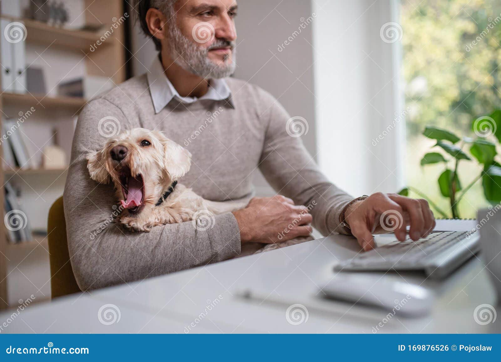 Mature Businessman Sitting At The Desk With Dog Indoors In Office
