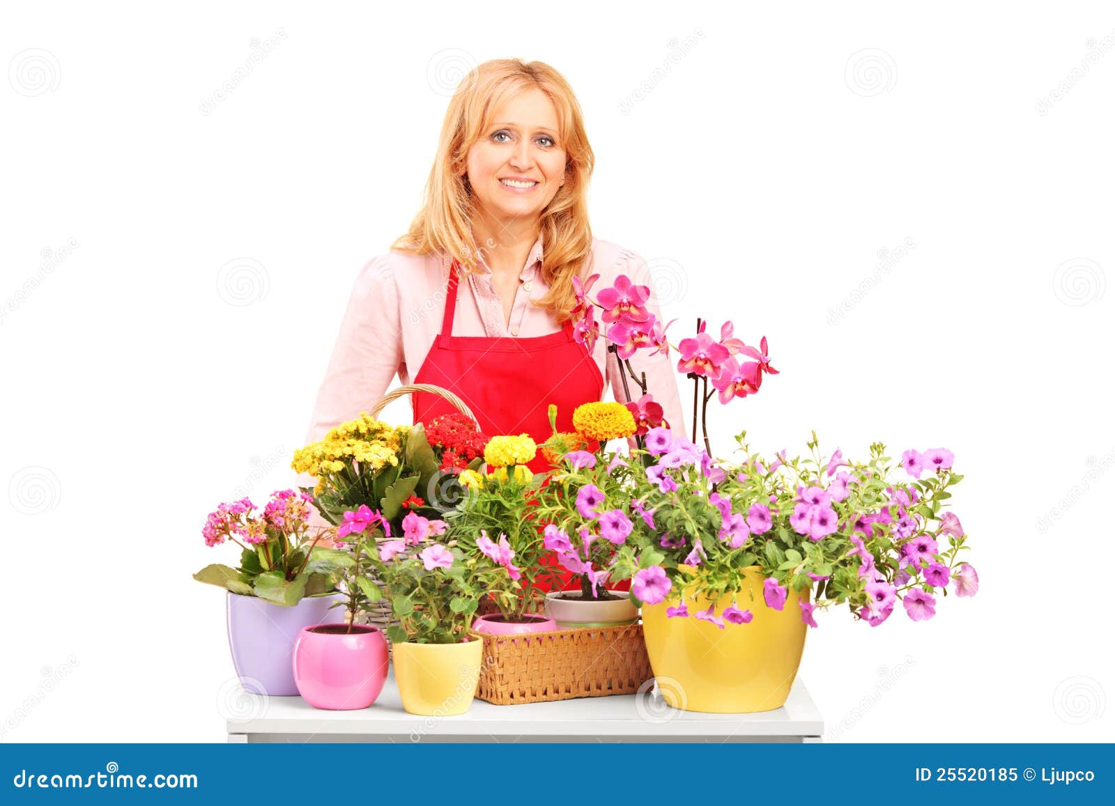 A Mature Female Florist And Flowers Stock Image Image of object