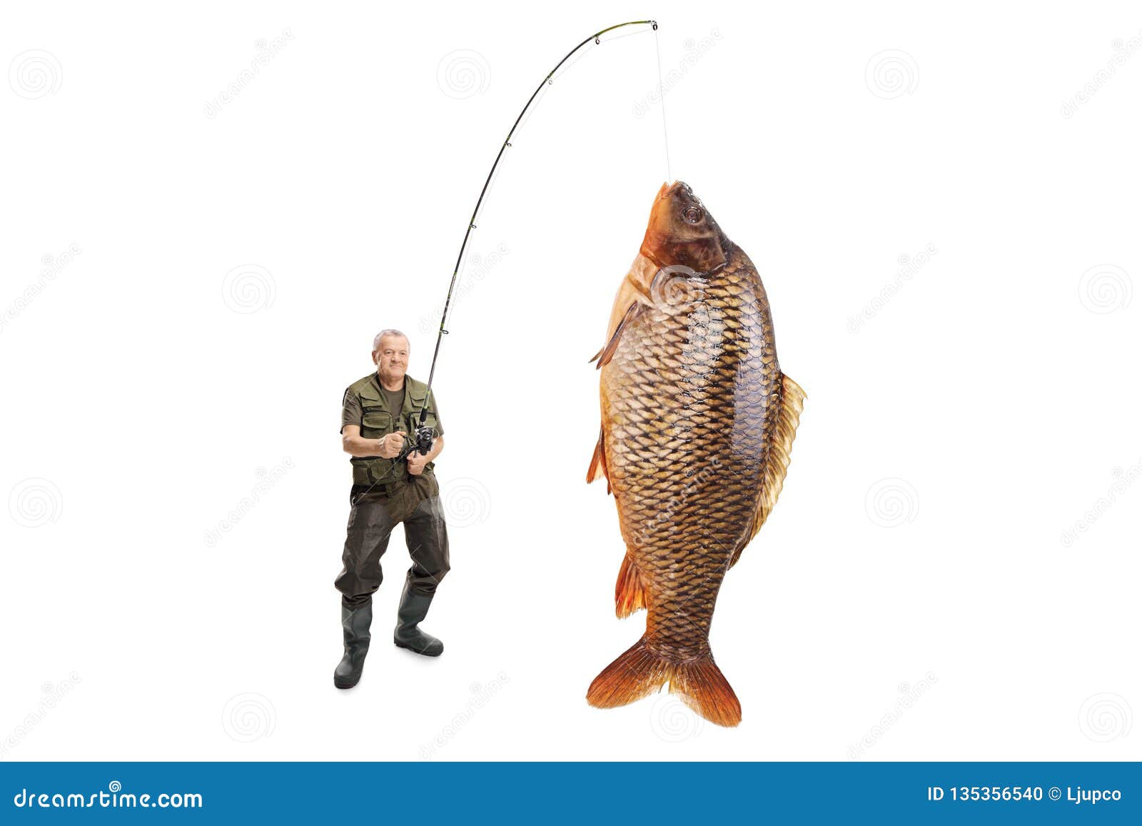 Mature Fisherman with a Carp Fish on a Fishing Rod Stock Photo