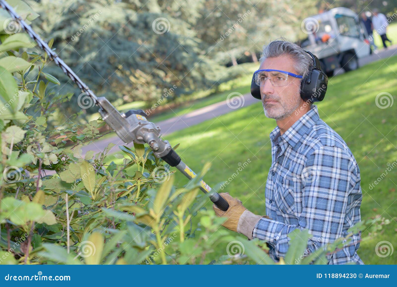 Mature Gardener Using Hedge Cutter Stock Photo Image of dangerous