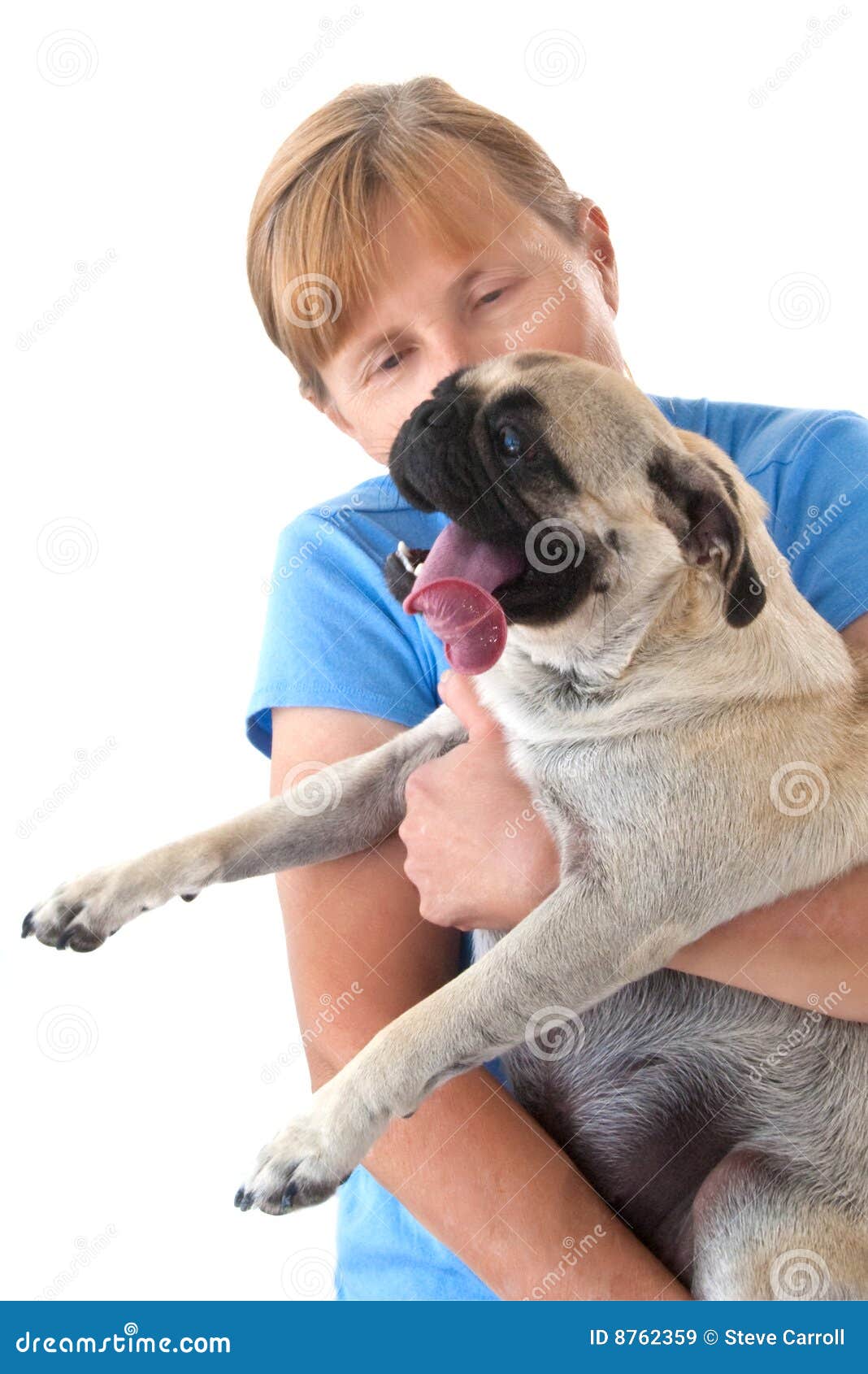 Mature Lady Holding A Pug Dog Stock Image Image of blue, male 8762359