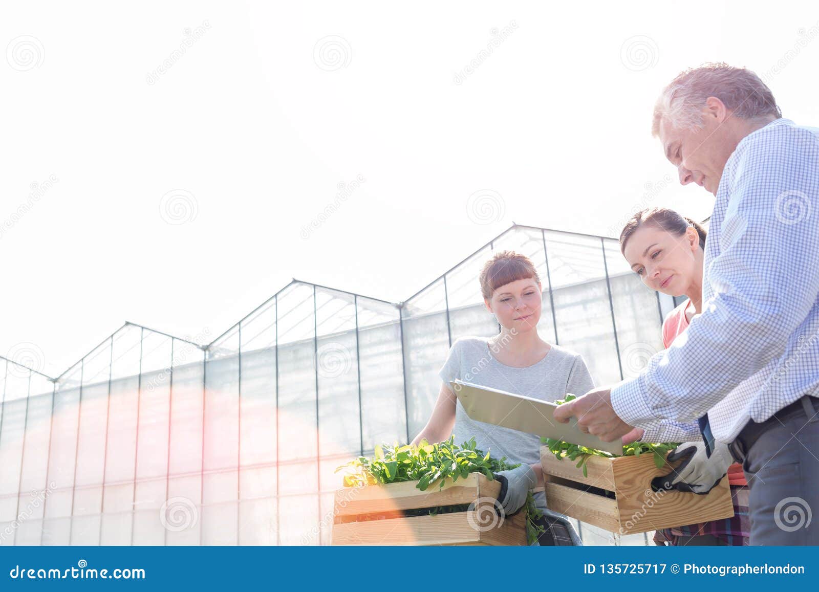 mature male biochemist discussing with female botanists against clear sky