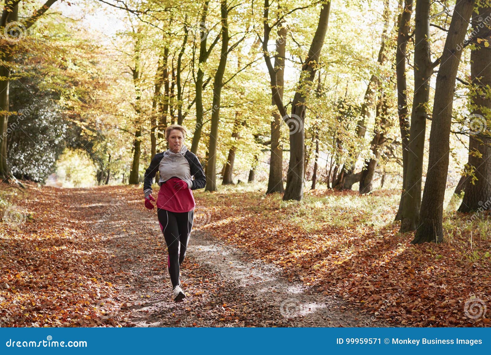 Mature Woman Running through Autumn Woodland Stock Image - Image of ...