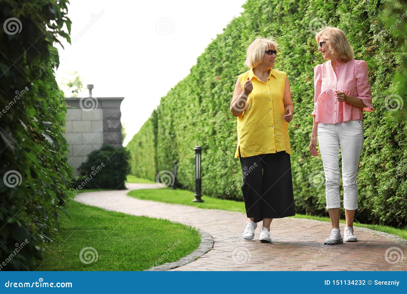 Mature Women Walking in Green Park Stock Photo Image of season