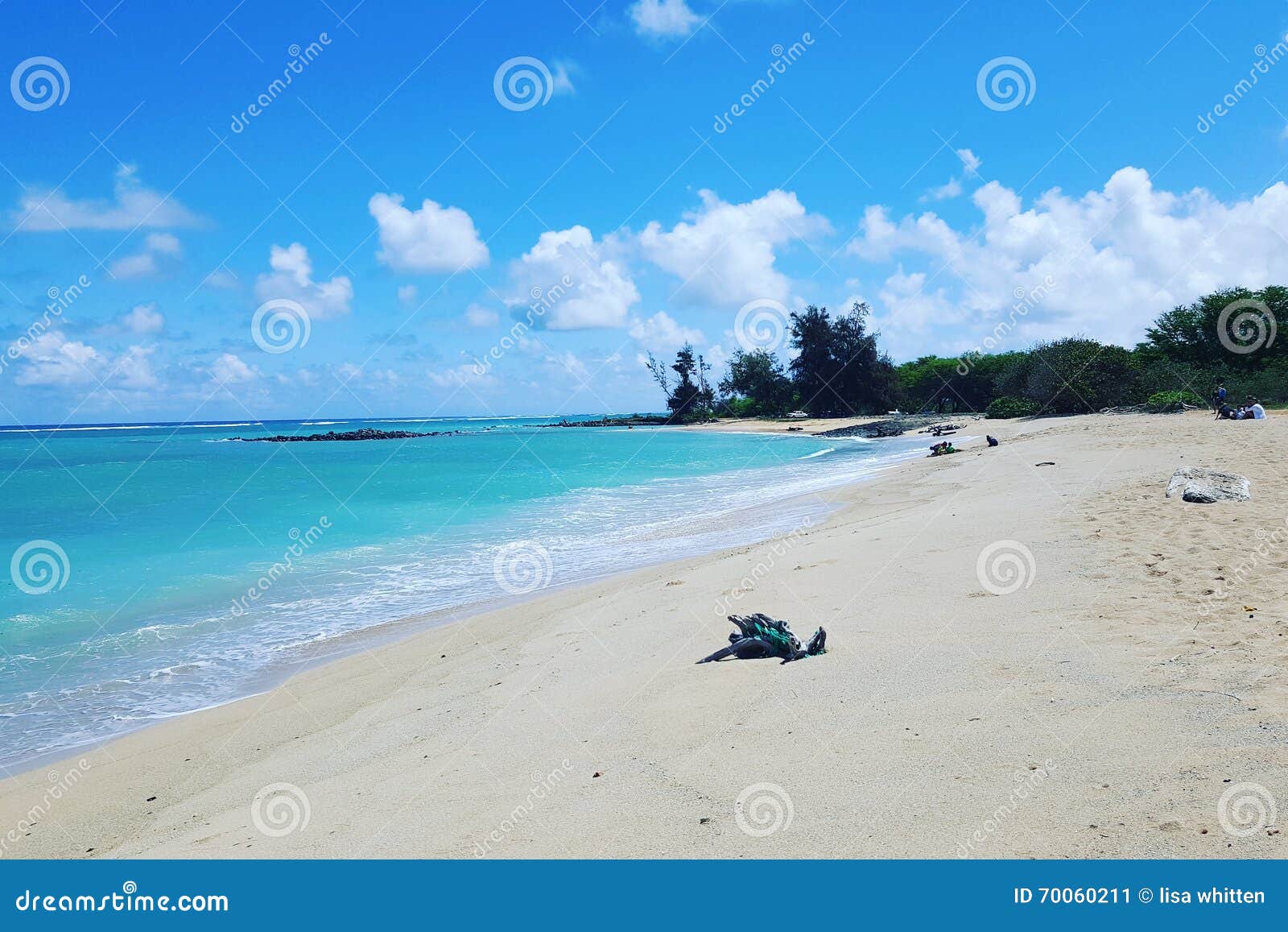 Maui Day stock image. Image of kite, beach, kanaha, maui 70060211