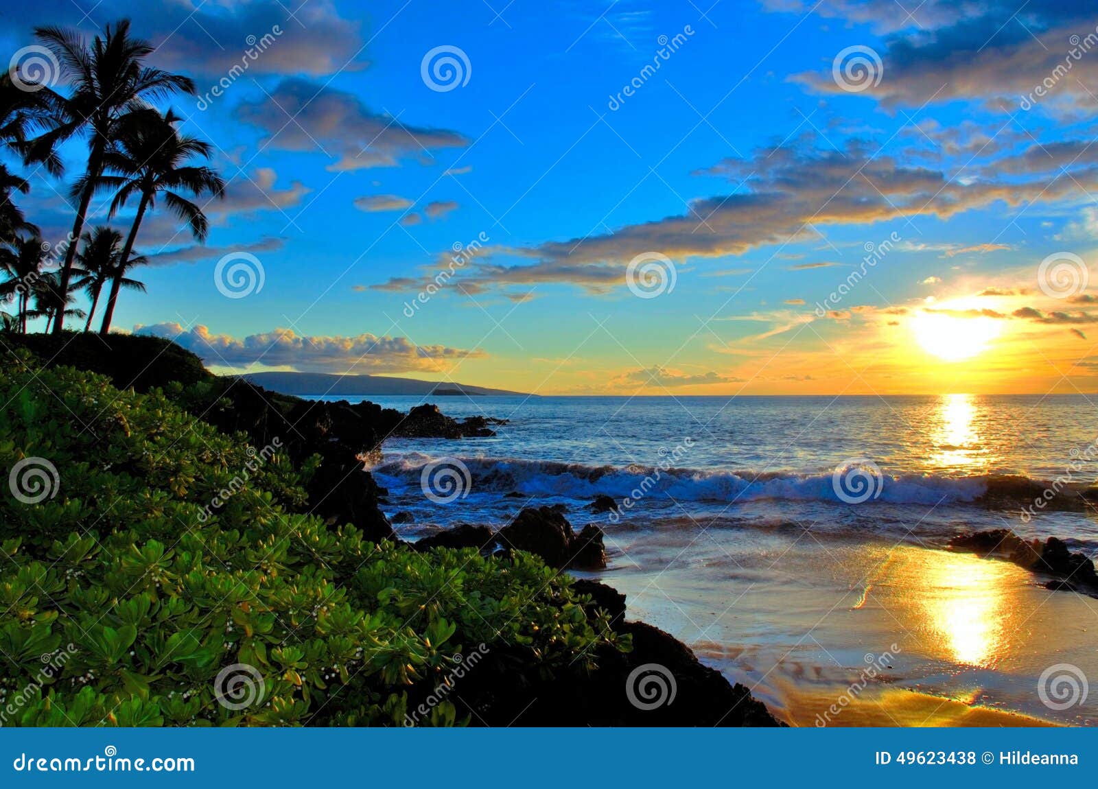 maui hawaii beach sunset with palm trees