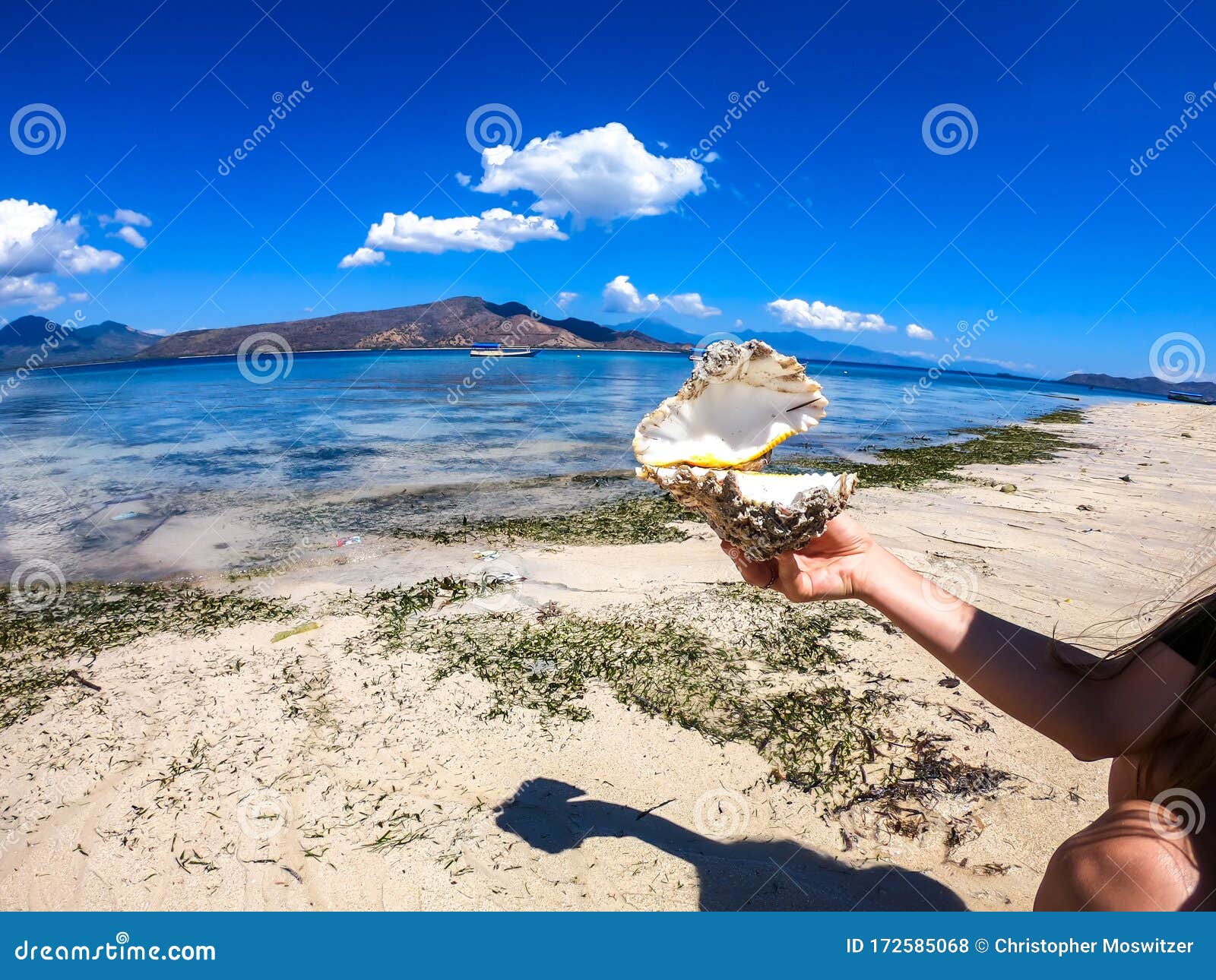 maumere - girly hand holding a huge shell