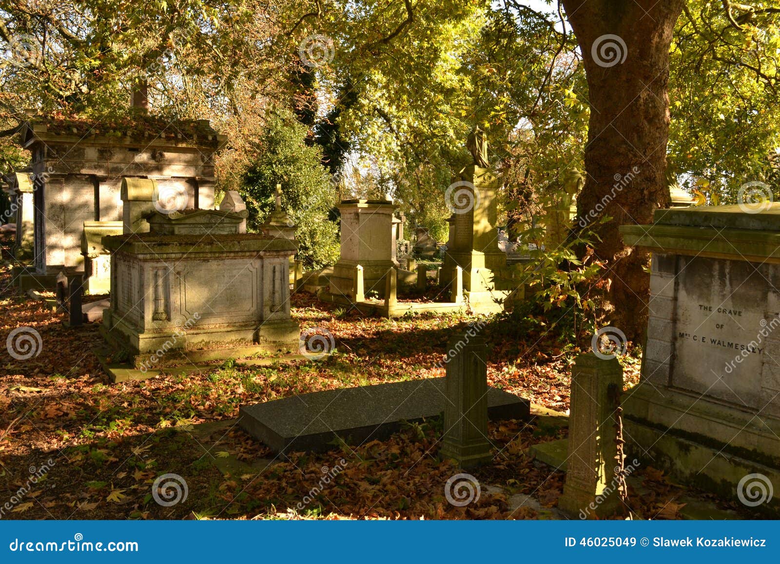 mausoleums graves covered fallen leaves