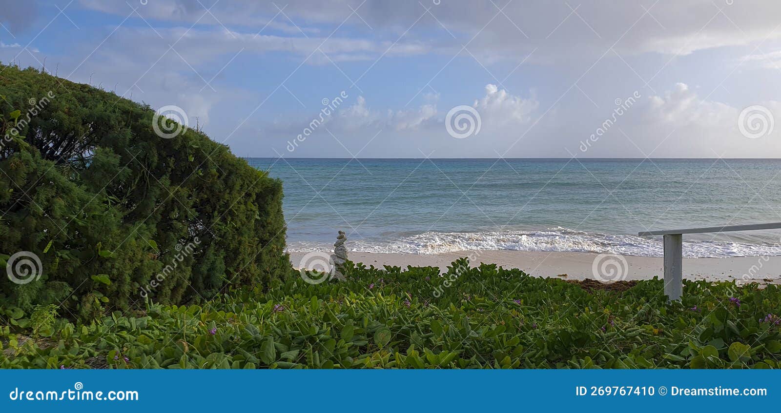 Maxwell beach Barbados stock photo. Image of holidays 269767410
