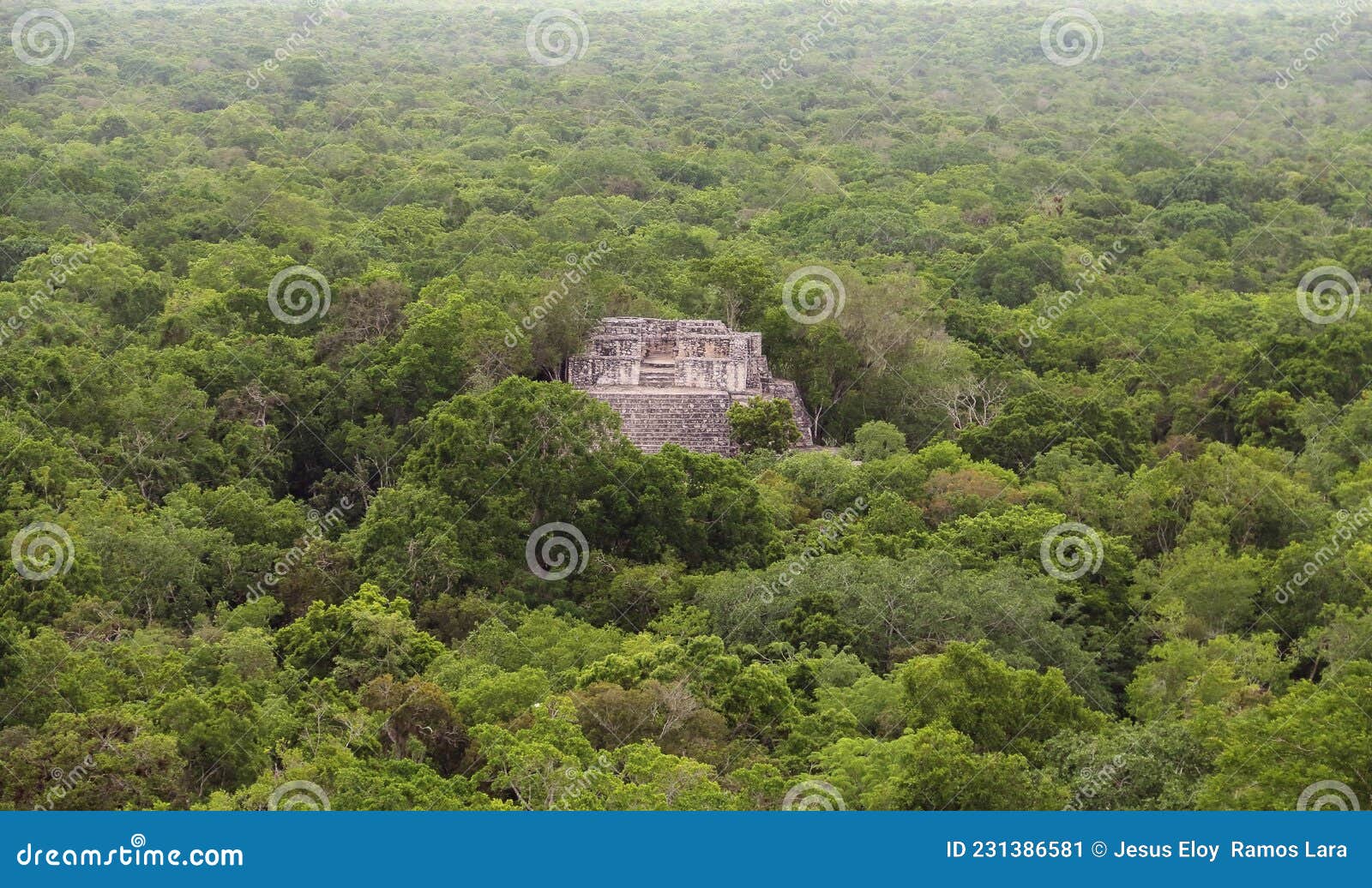 mayan pyramids of calakmul in campeche vii