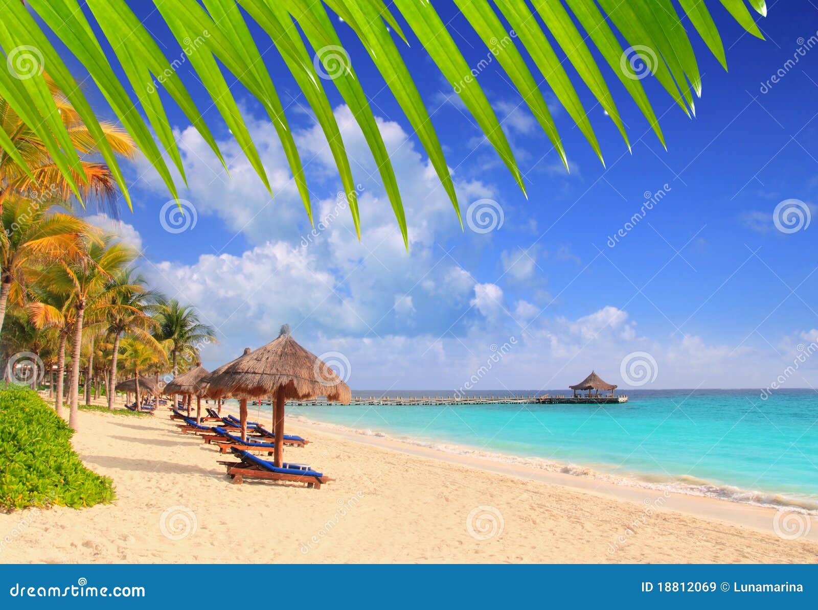 mayan riviera beach palm trees sunroof caribbean