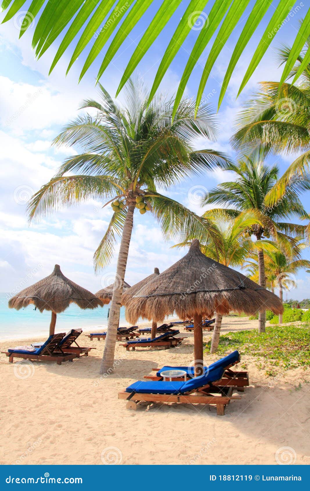 mayan riviera beach palm trees sunroof caribbean