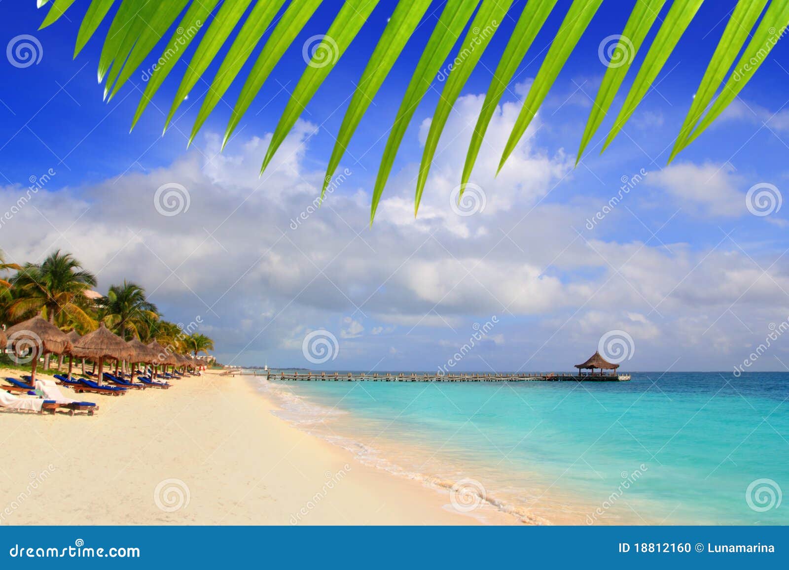 mayan riviera beach palm trees sunroof caribbean