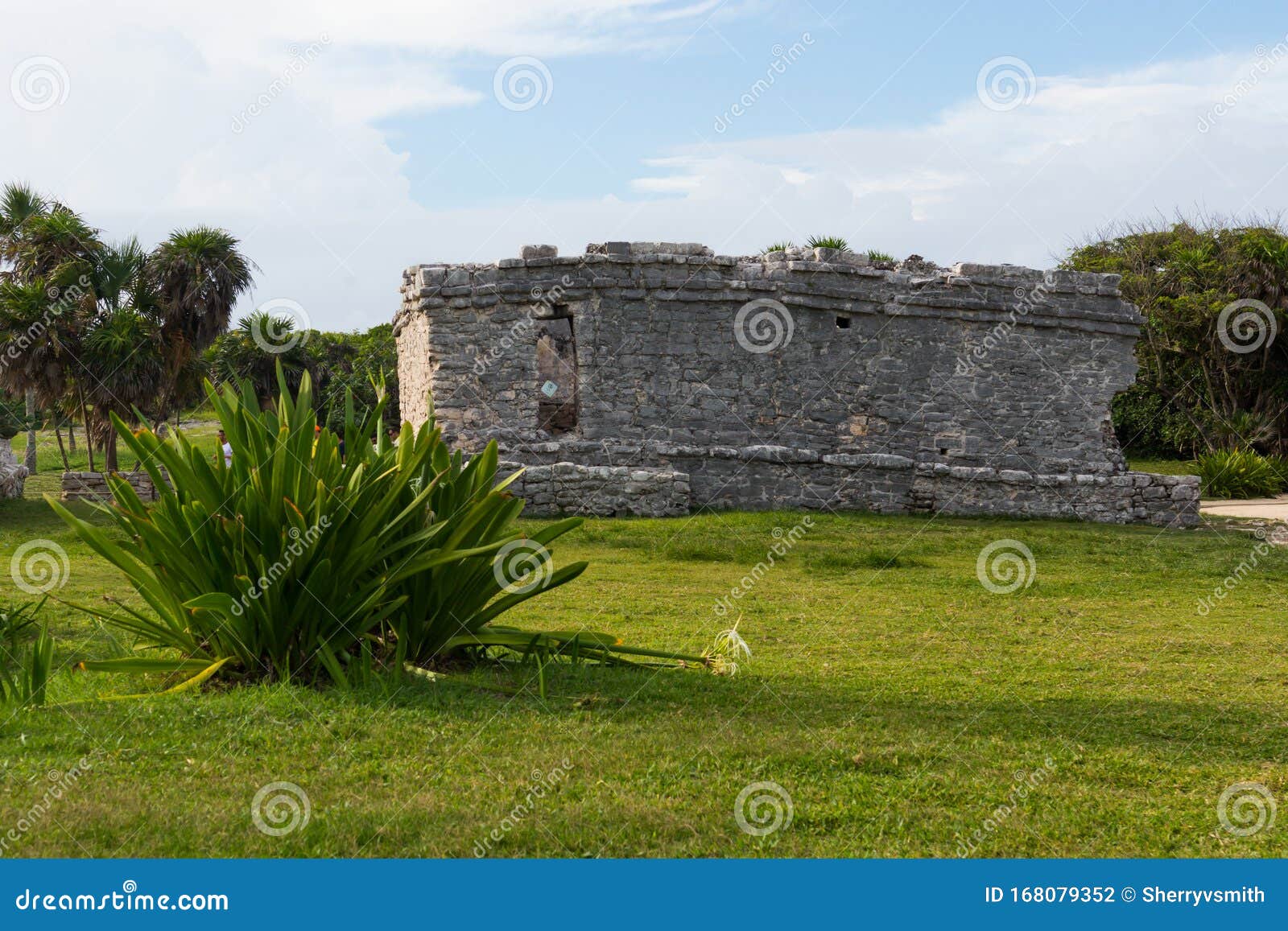 mayan ruins of the casa del noroeste