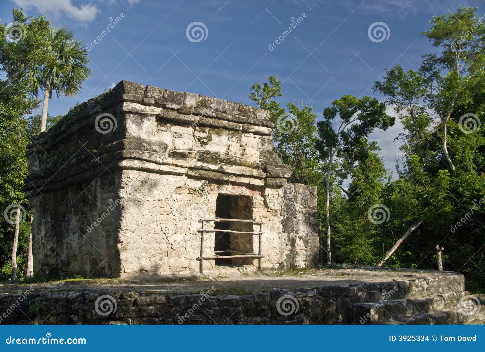 mayan ruins at san gervasio