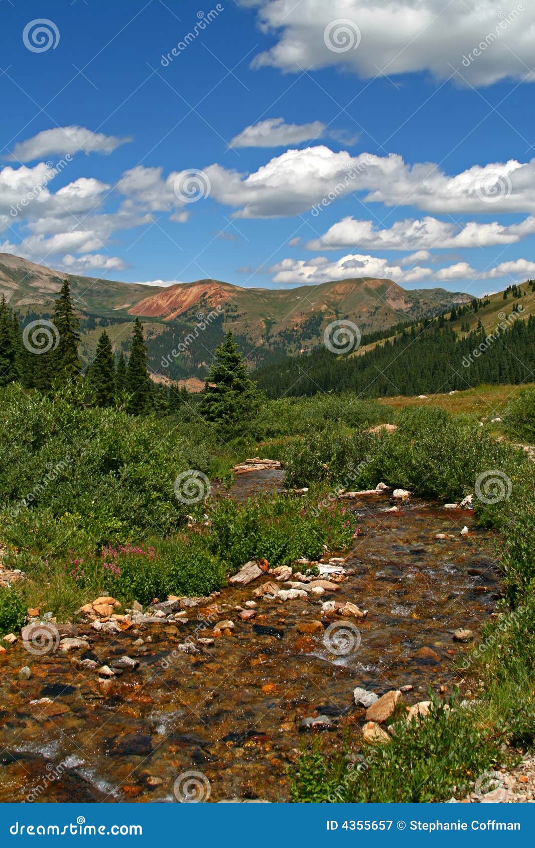 Mayflower Gulch stock image. Image of river, scenic, cloud 4355657