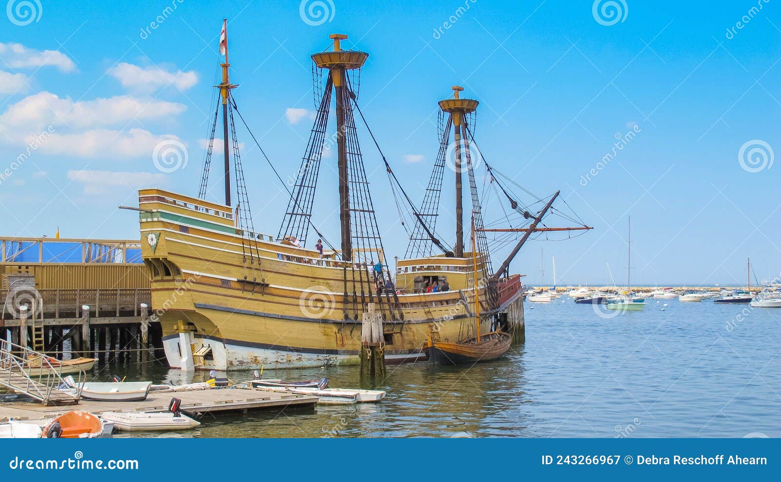 Mayflower Dreams