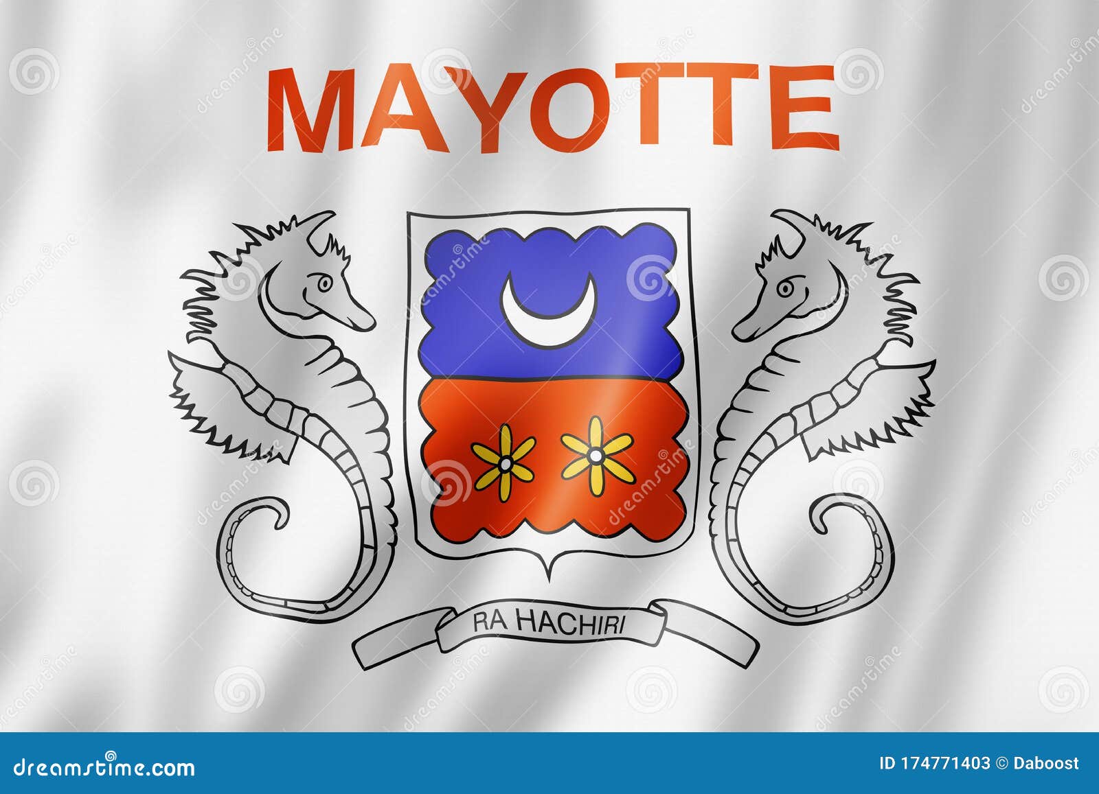 Mayotte Flag Button Icon Isolated on White Background Stock Vector