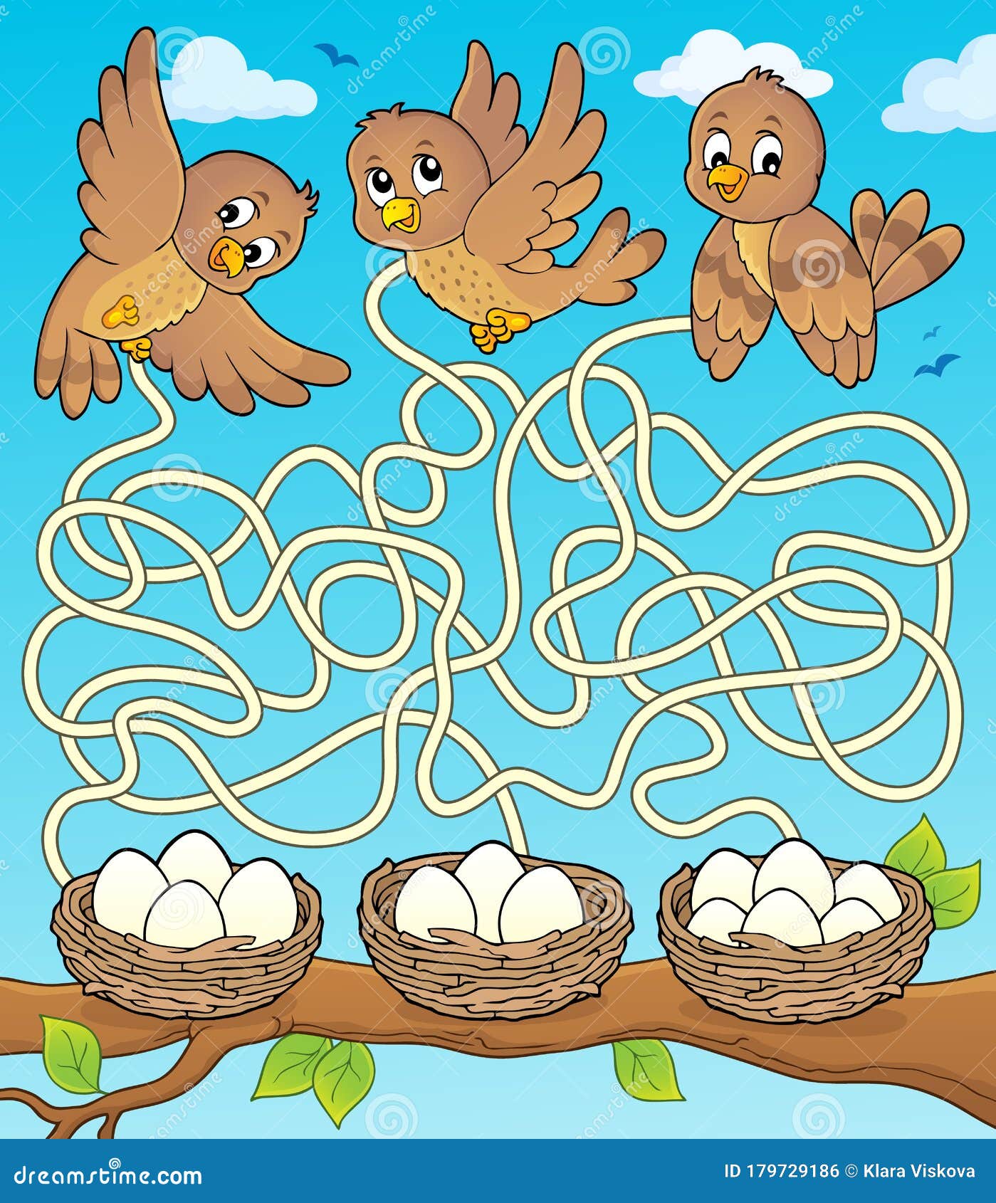 maze 34 with birds and nests